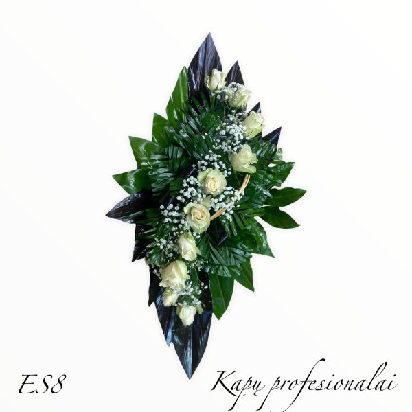 ES8
