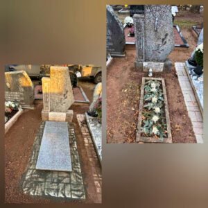 308e58fb c501 42d0 86e9 ae797552c556