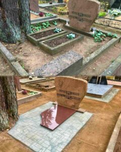 e921fa99 84c4 4ef8 a685 b0178d308481